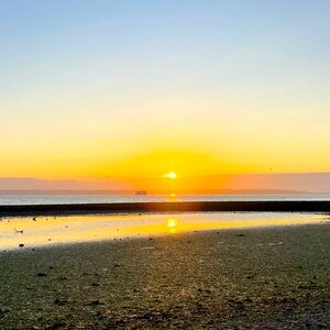 Meet your Posher, Devan